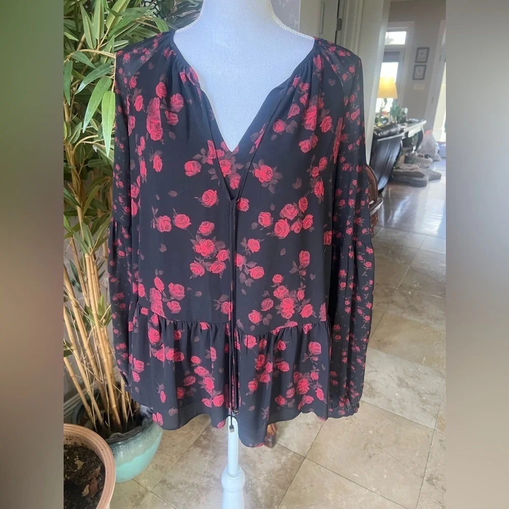 Michael Kors, ladies, long sleeve, sheer blouse, size, small excellent condition